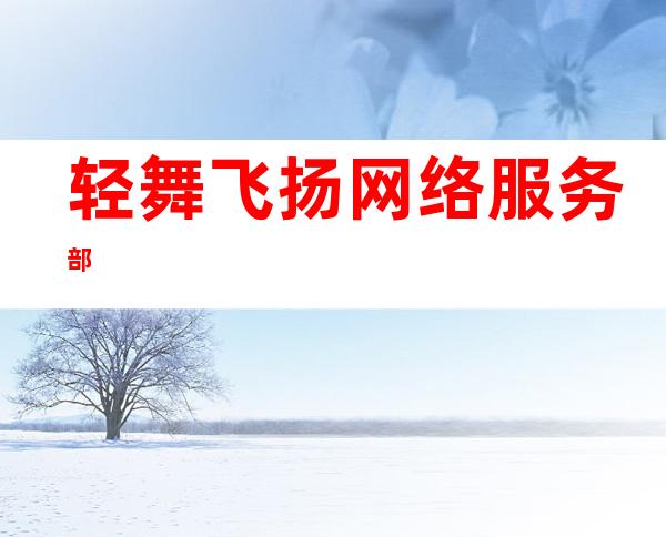 轻舞飞扬网络服务部